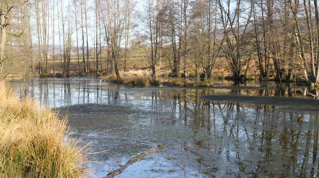 Der Sahlensee bei Mernes im Jossatal