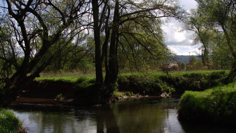 A calm river with trees reflecting in the water, surrounded by lush greenery.