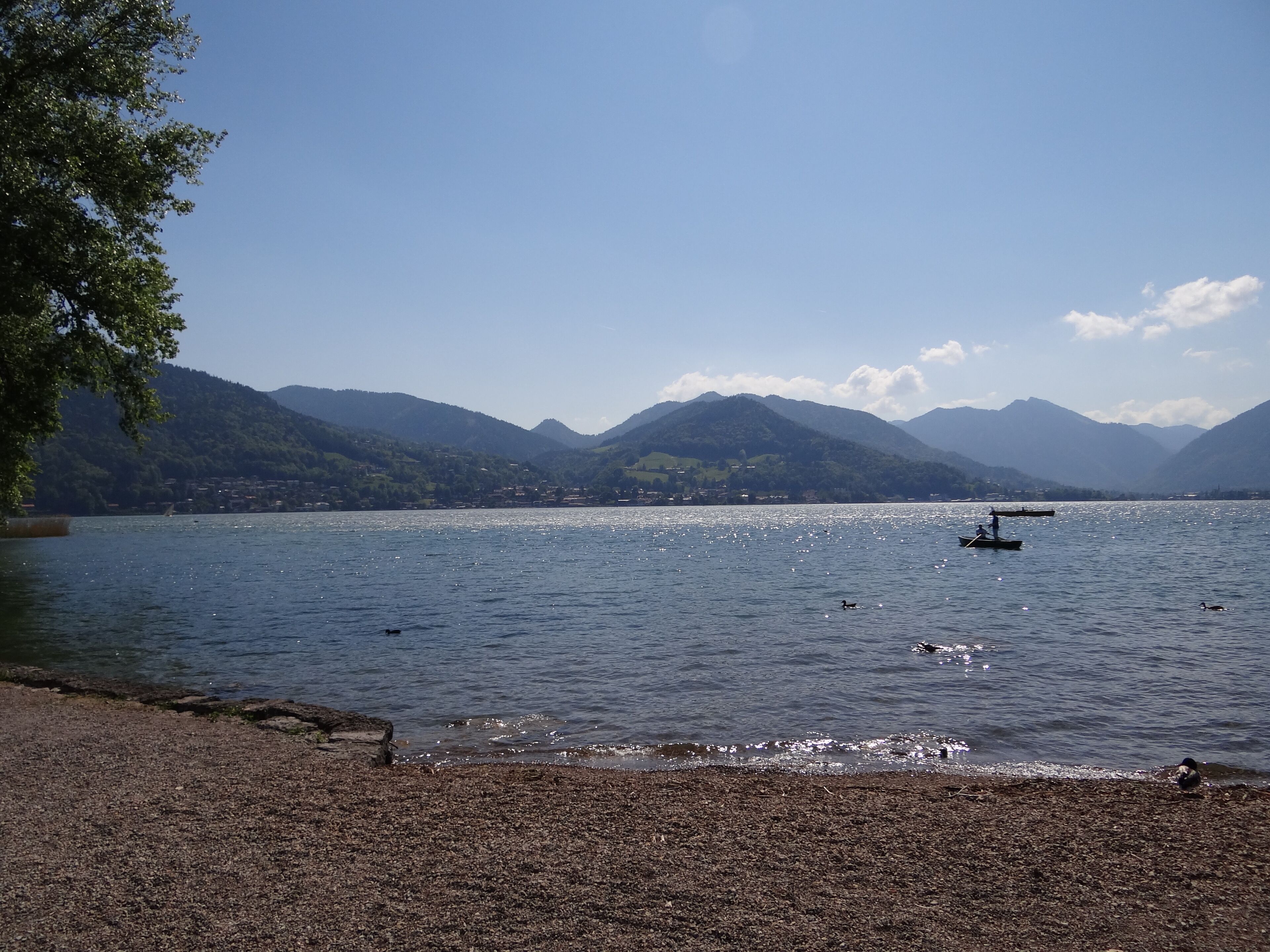 A lake with boats, ducks, and mountains in the background.