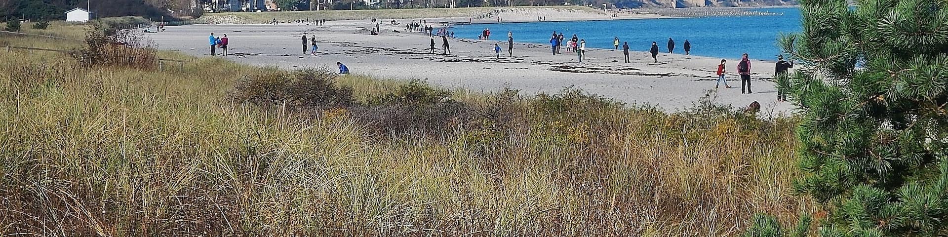Strand beim Ostseebad Boltenhagen