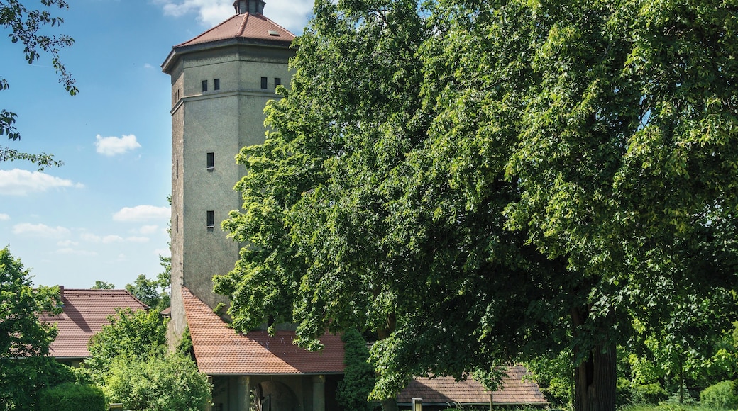 This media shows the protected monument of Saxony with the ID 08974961 KDSa/08974961(other).