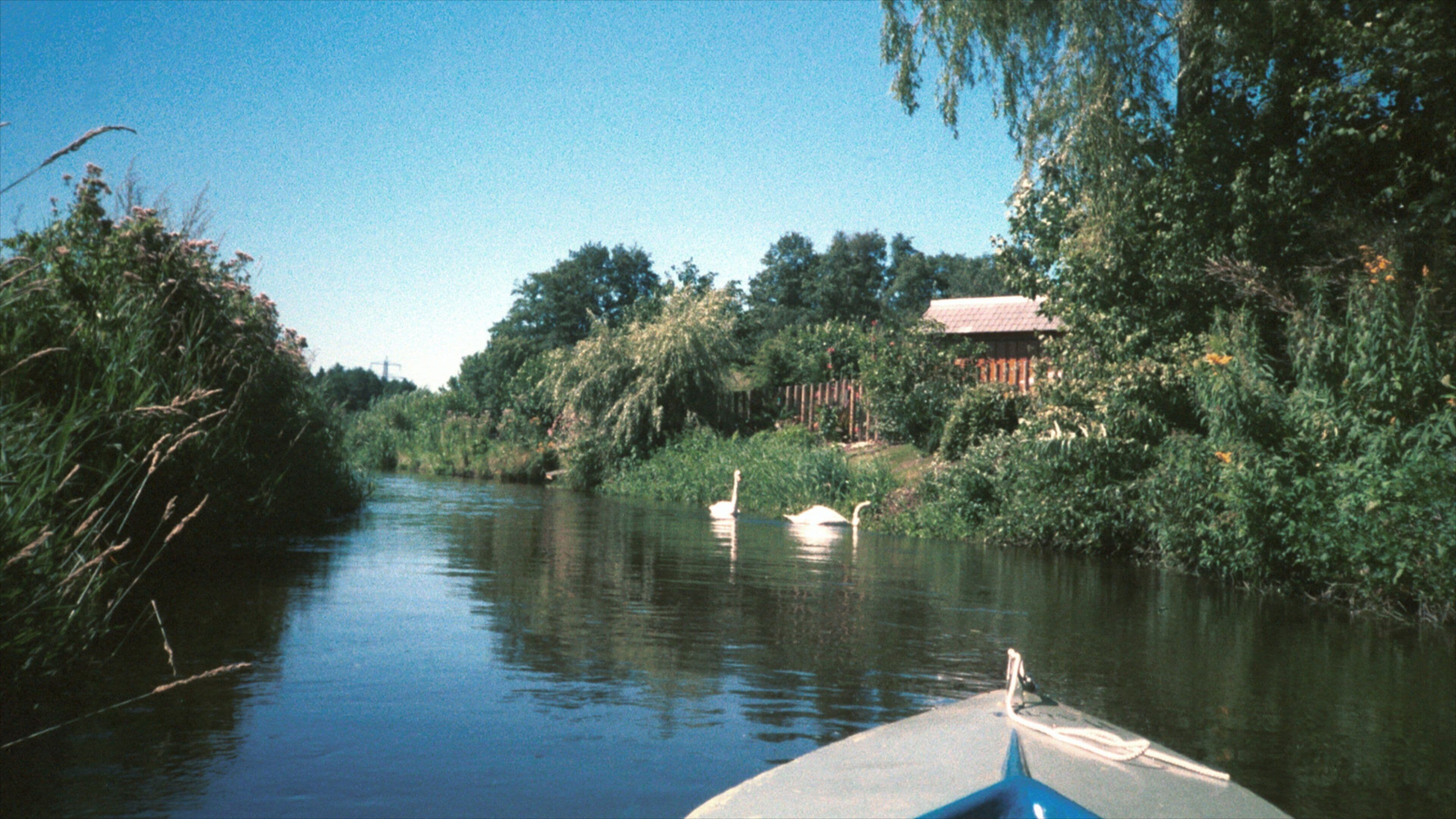 Celle which includes bird life, a river or creek and landscape views