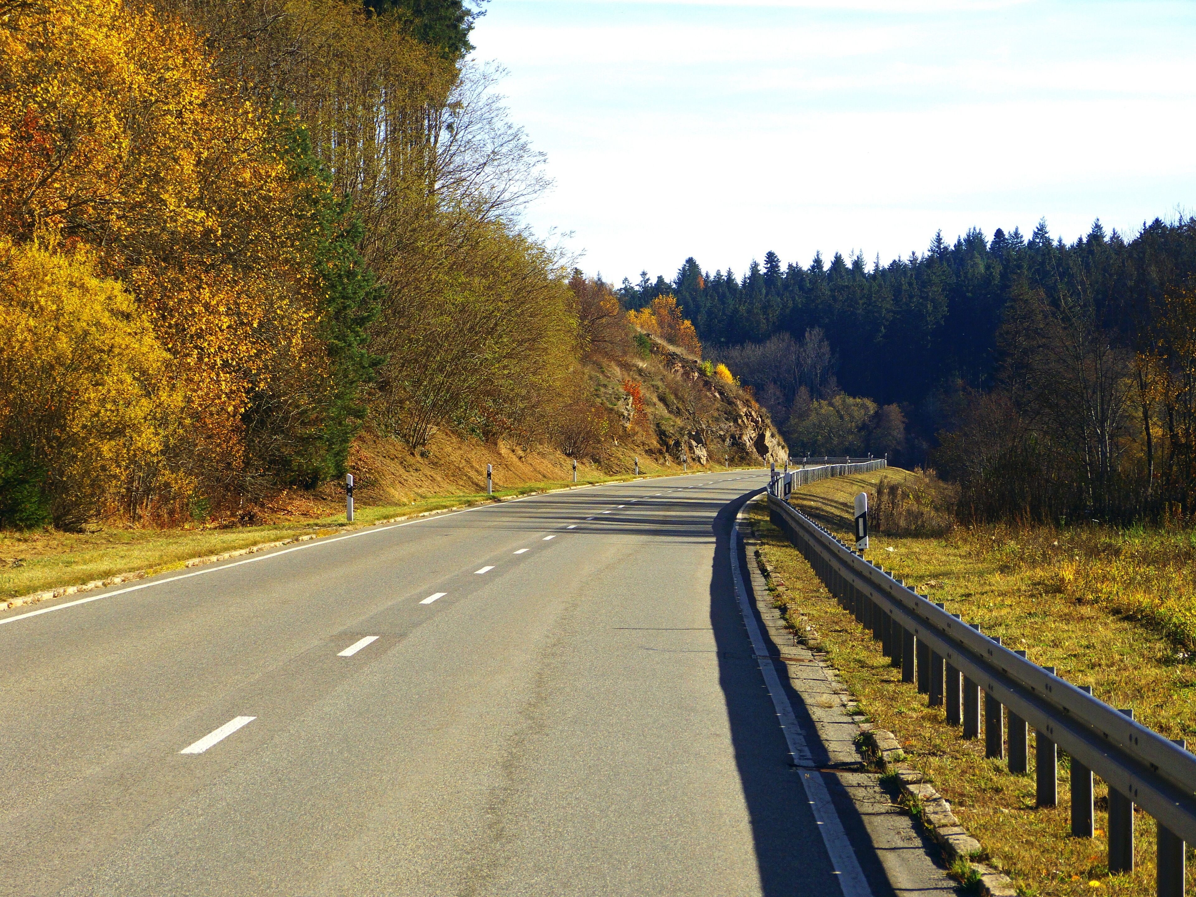 A winding road through a forested area with autumn foliage.