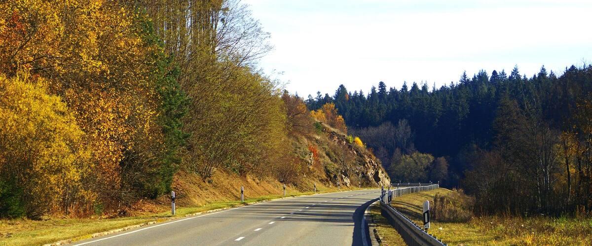 A winding road through a forested area with autumn foliage.