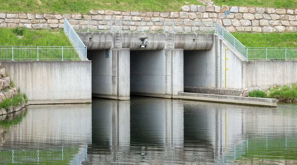 Dry retention pond Wolterdingen, Donaueschingen-Wolterdingen, district Schwarzwald-Baar-Kreis, Baden-Württemberg, Germany