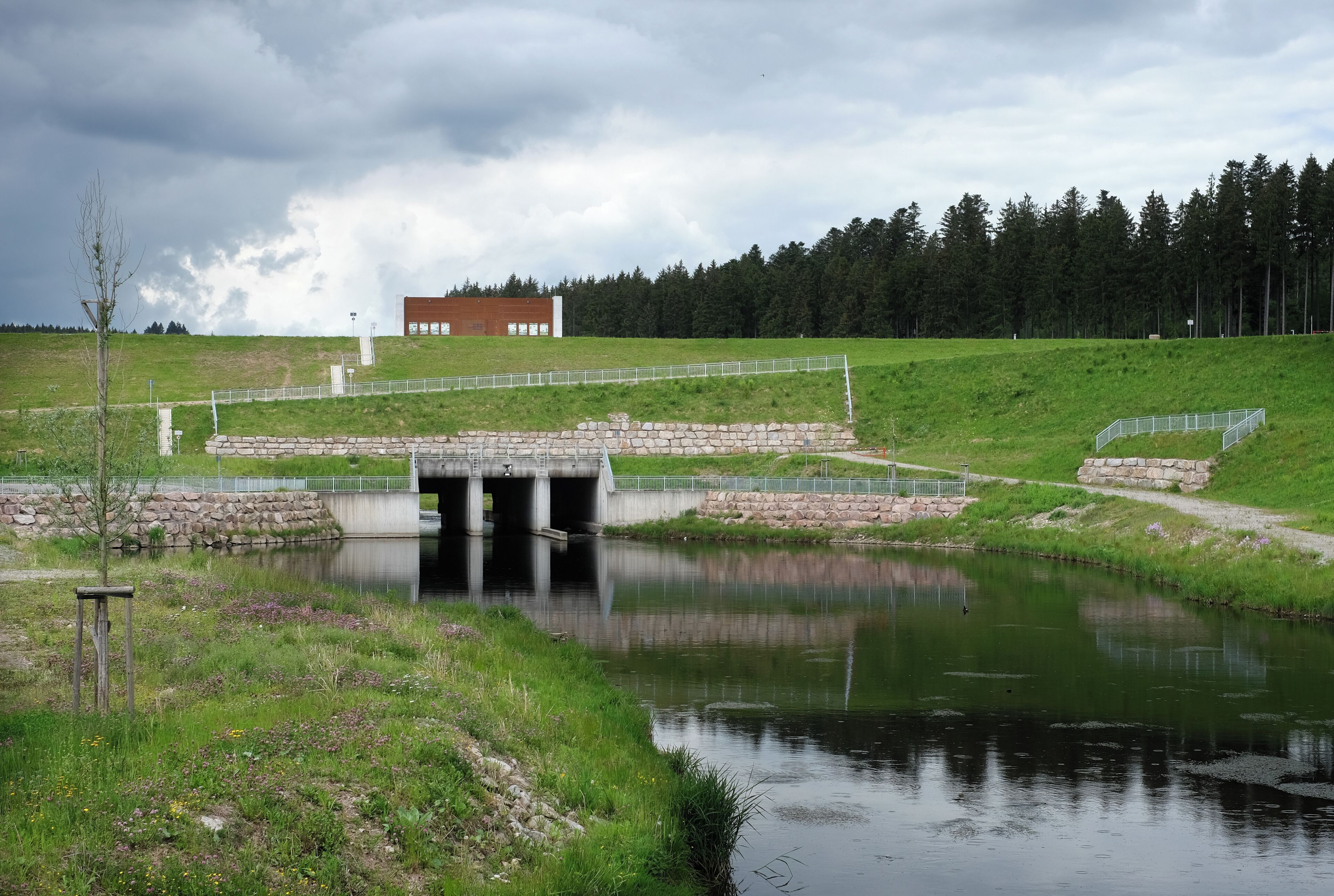 Dry retention pond Wolterdingen, Donaueschingen-Wolterdingen, district Schwarzwald-Baar-Kreis, Baden-Württemberg, Germany