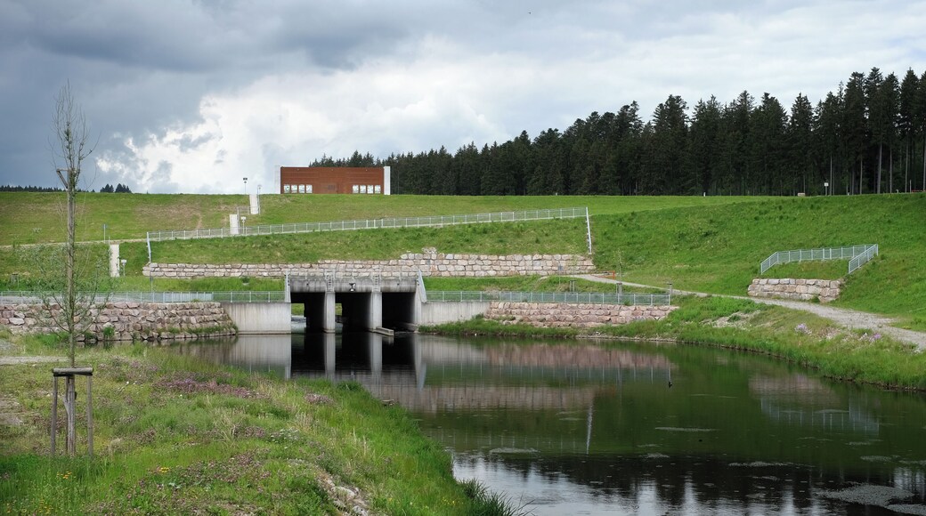 Dry retention pond Wolterdingen, Donaueschingen-Wolterdingen, district Schwarzwald-Baar-Kreis, Baden-Württemberg, Germany