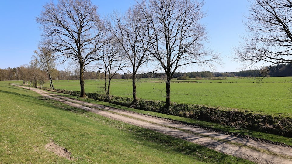 Blick auf die Heidefläche westlich der Thülsfelder Talsperre im Oldenburger Münsterland