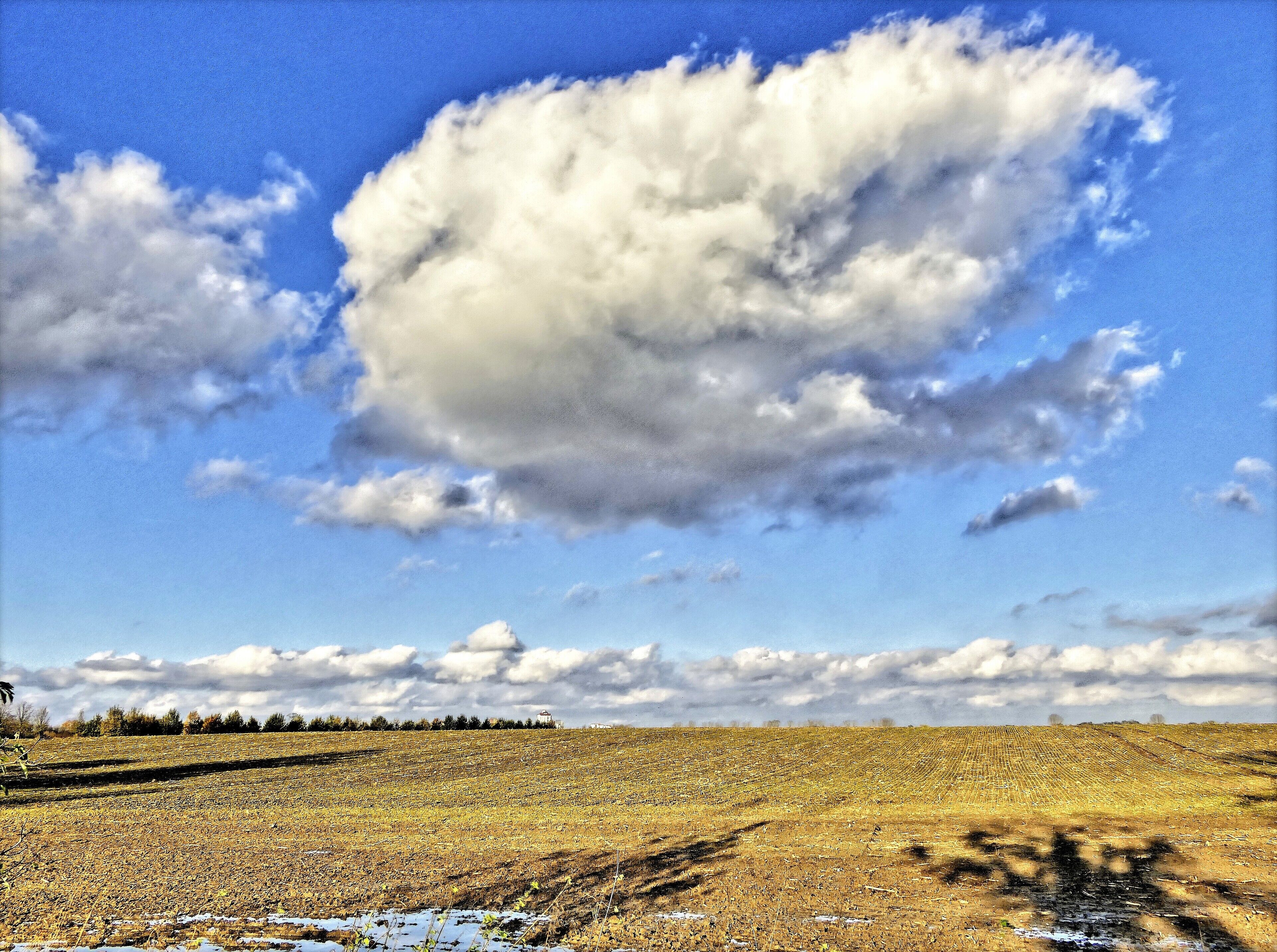 A field with a large cloud in the sky.