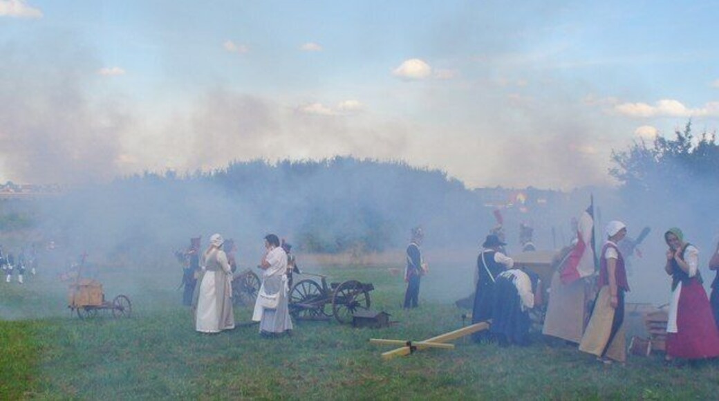 Schlacht von Grossbeeren 2013 (Battle of Grossbeeren 2013)