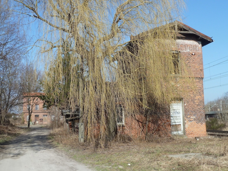 A brick building with overgrown vines, a dirt path, and a distant brick structure.