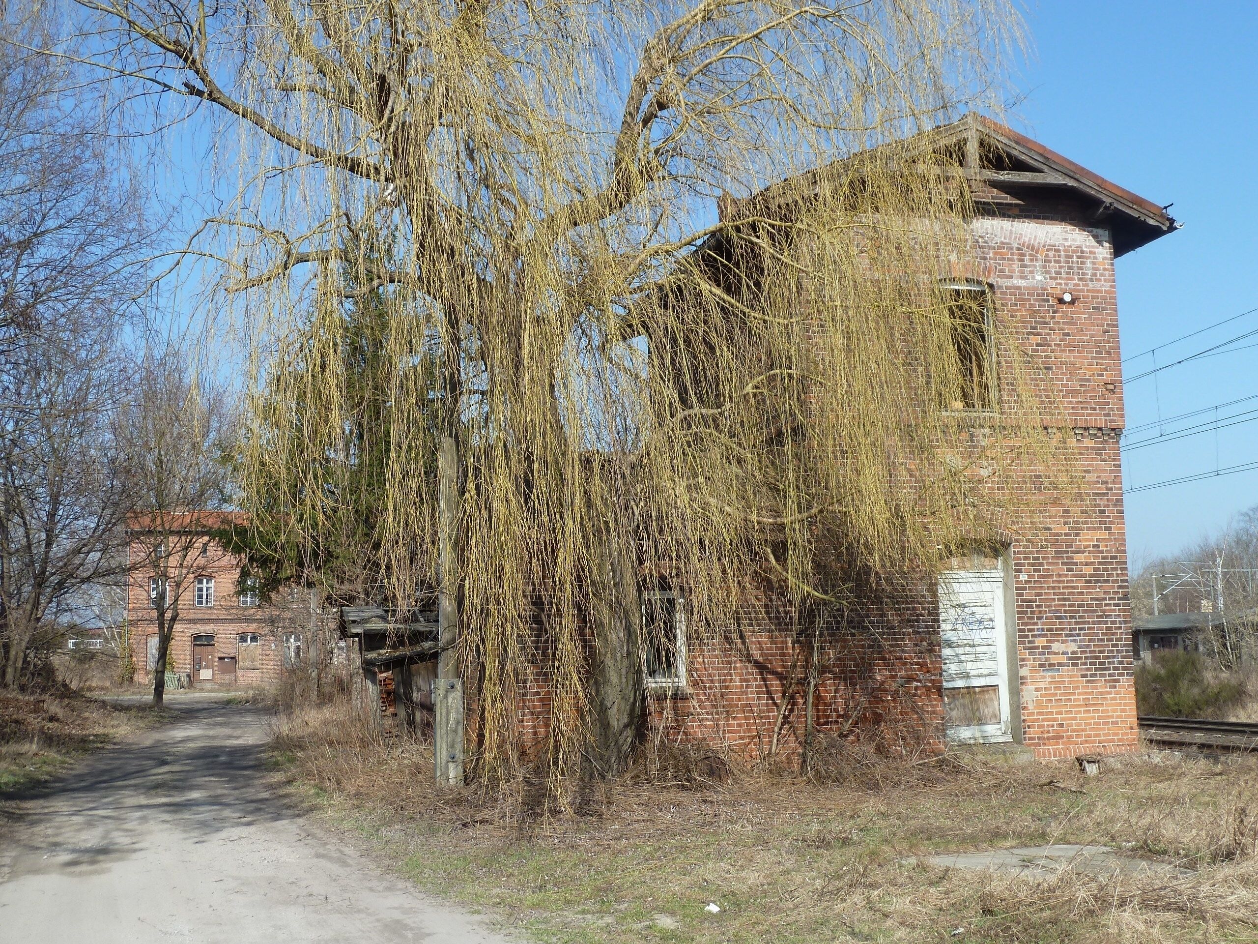 A brick building with overgrown vines, a dirt path, and a distant brick structure.