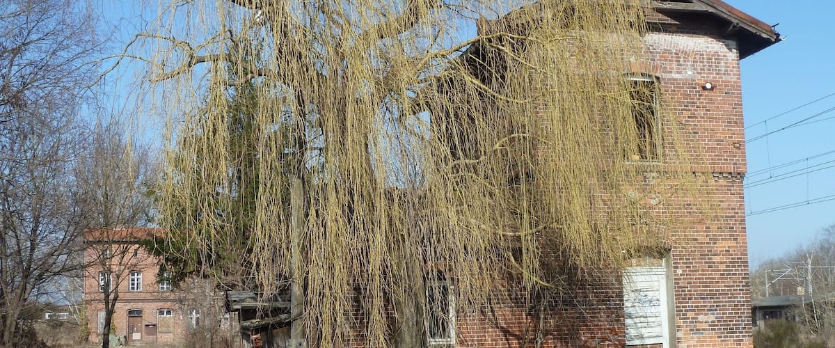A brick building with overgrown vines, a dirt path, and a distant brick structure.