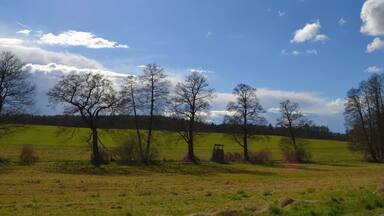 A sunny landscape with a clear blue sky, scattered clouds, and a green field with trees.
