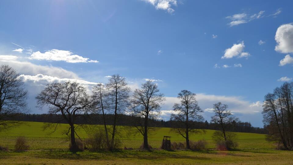 A sunny landscape with a clear blue sky, scattered clouds, and a green field with trees.