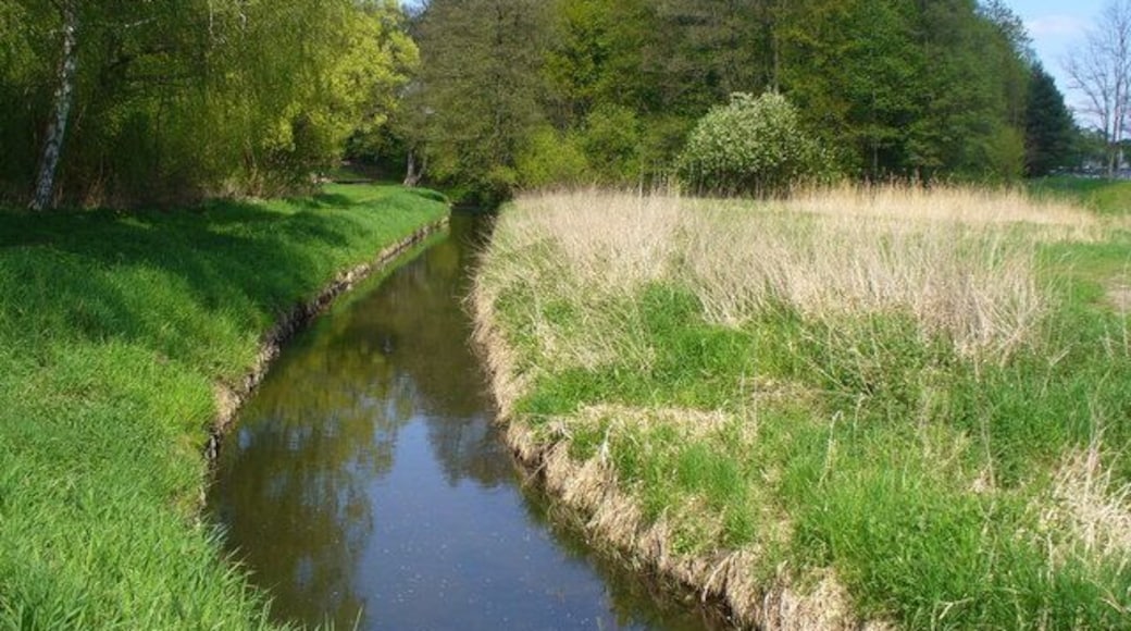 Dahlwitz - Neuenhagener Muehlenfliess (Neuenhagen Mill Stream)