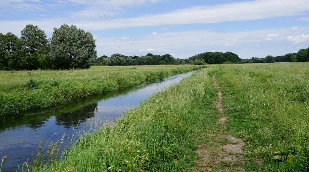 A narrow water channel with lush greenery on both sides, a clear sky, and a distant tree line.