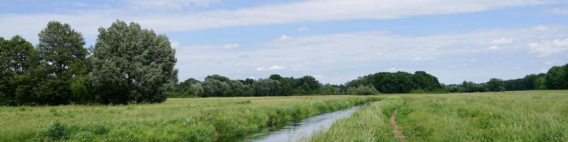 A narrow water channel with lush greenery on both sides, a clear sky, and a distant tree line.