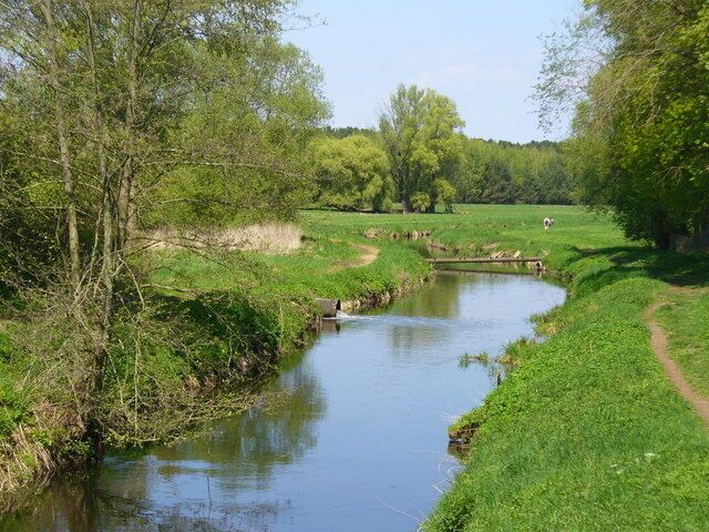 A narrow river winding through a lush green landscape with trees and a grassy field.