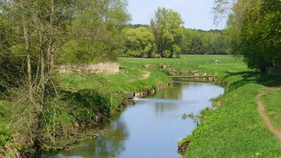 A narrow river winding through a lush green landscape with trees and a grassy field.