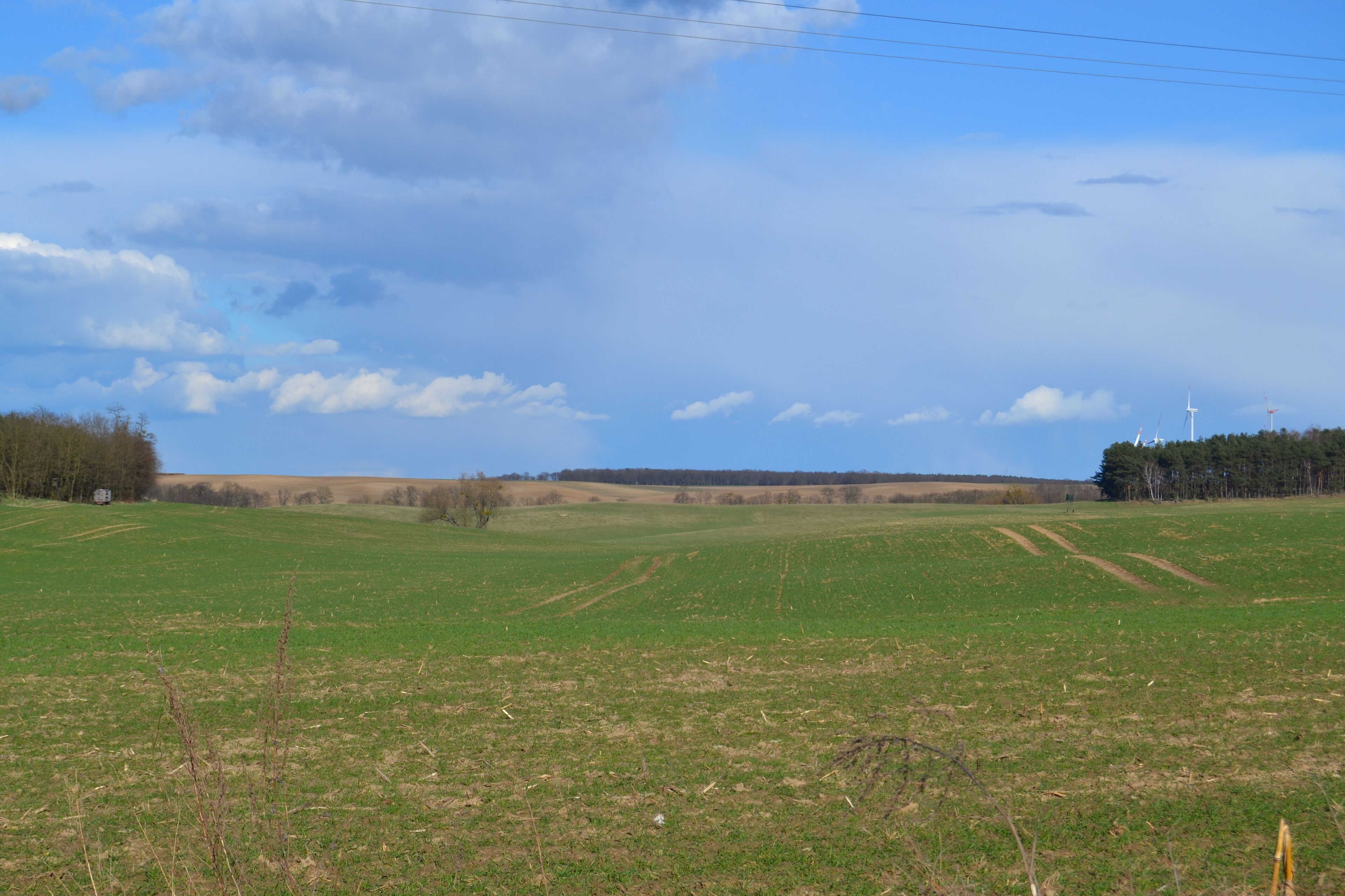 This image was uploaded as part of Wiki Loves Earth 2015.