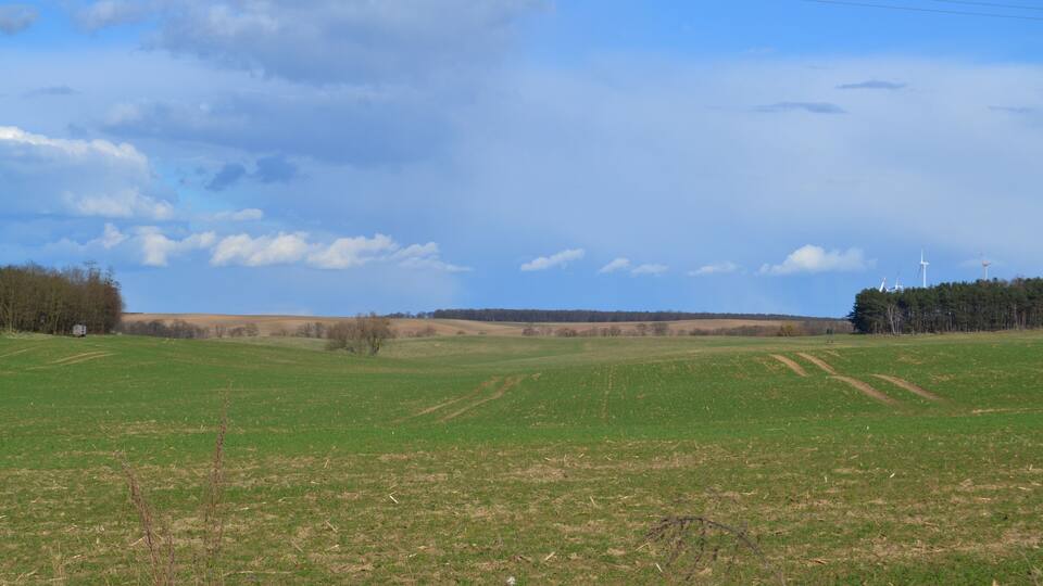 A vast green field with a clear sky and distant wind turbines.