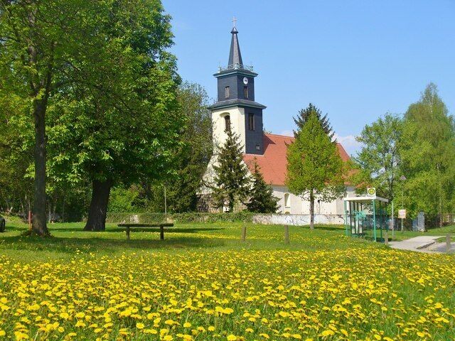 A church with a tower, surrounded by trees and a field of yellow flowers.
