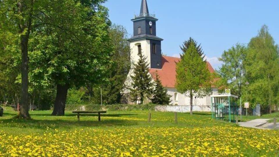 A church with a tower, surrounded by trees and a field of yellow flowers.