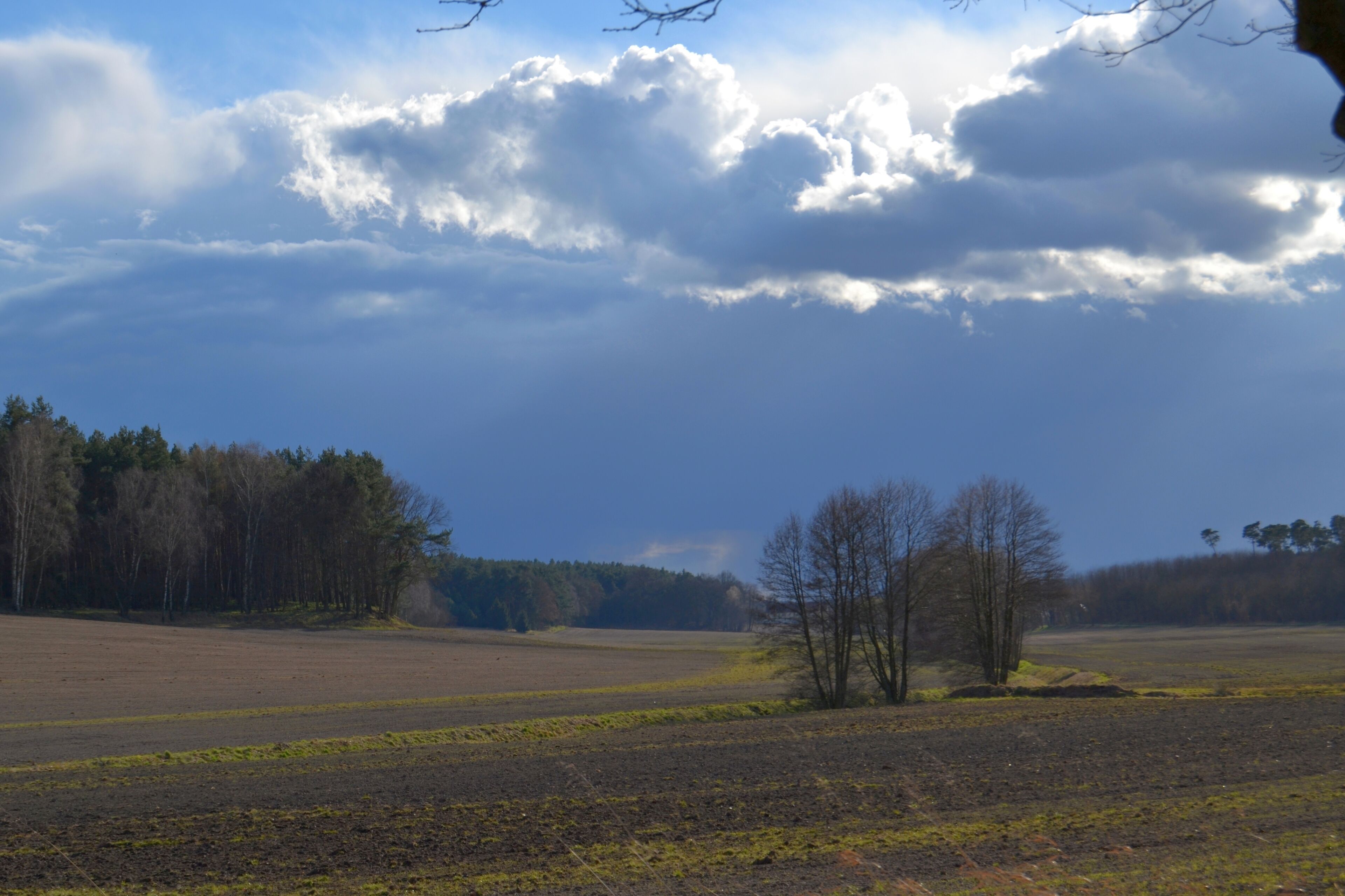 A rural landscape with open fields, a few scattered trees, and a cloudy sky.