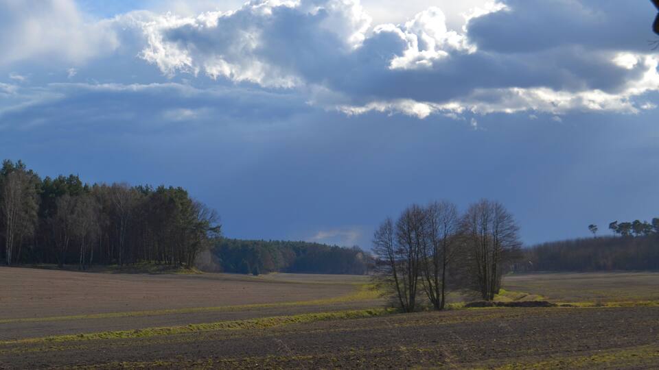 A rural landscape with open fields, a few scattered trees, and a cloudy sky.