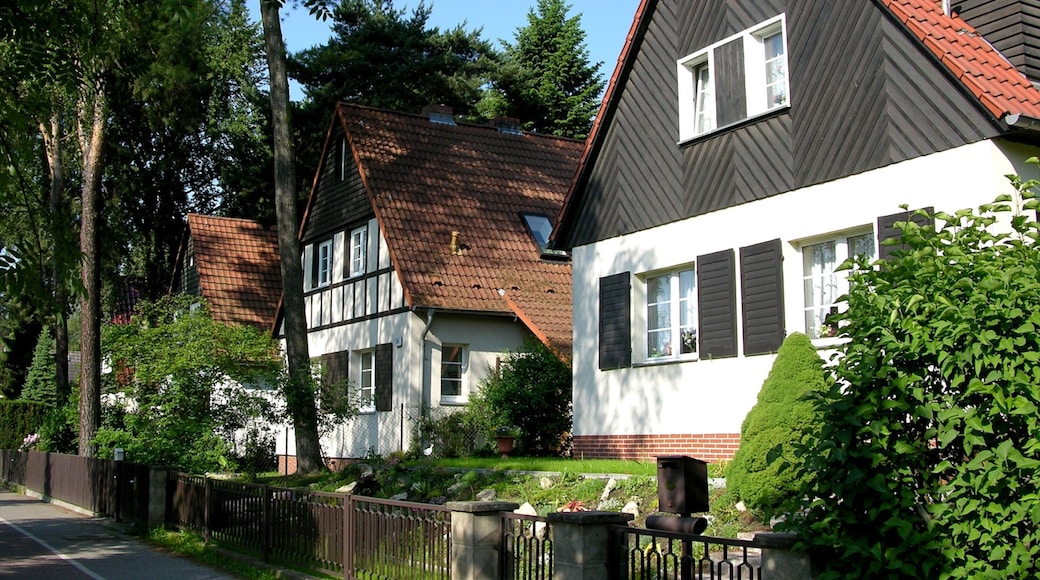 Kleinmachnow showing heritage architecture, a house and street scenes