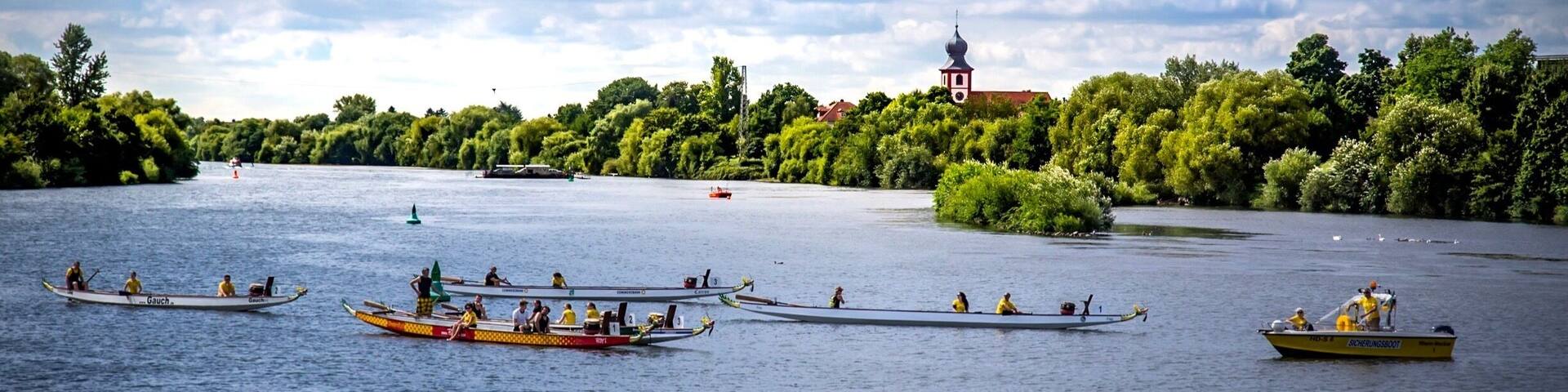 Drachenboote auf dem Neckar bei Ladenburg