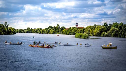 Drachenboote auf dem Neckar bei Ladenburg