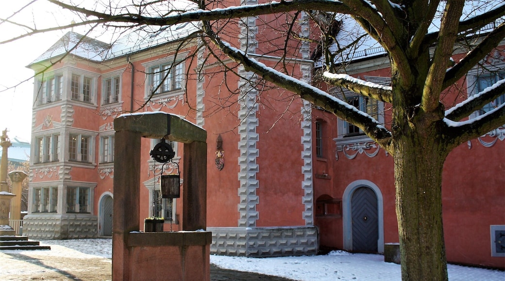 #Germany in winter is pink ! #europe