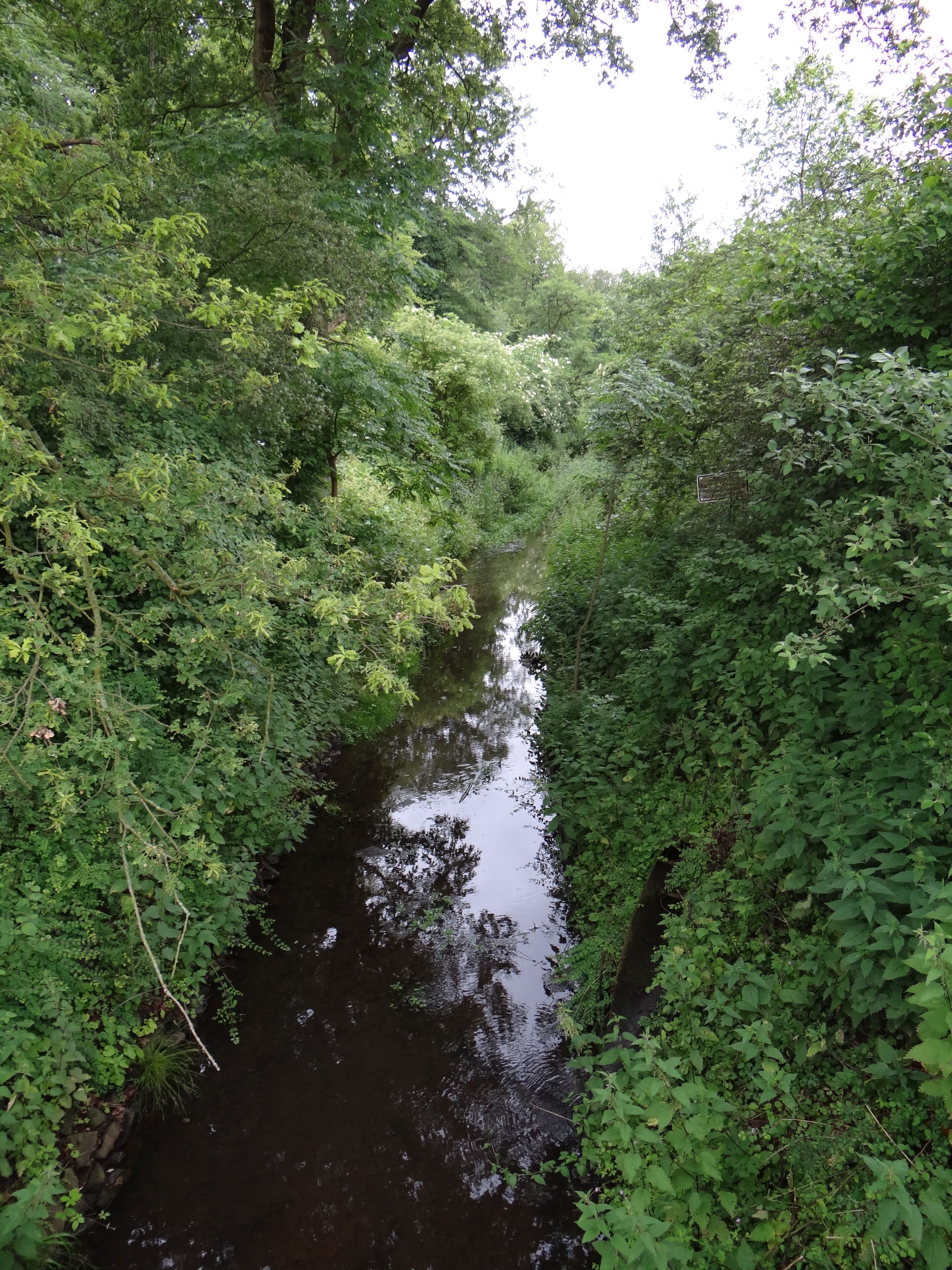 Naturschutzgebiet "Der Meerbusch" zwischen Meerbusch-Büderich und Kaarst