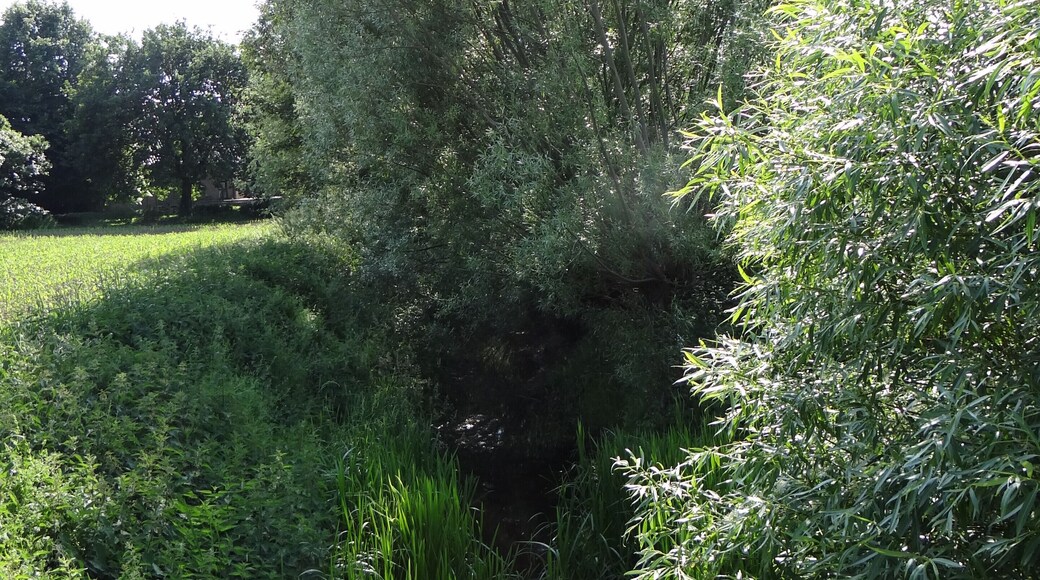 Naturschutzgebiet "Die Buersbach" bei Meerbusch-Lank-Latum