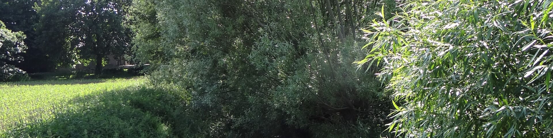 Naturschutzgebiet "Die Buersbach" bei Meerbusch-Lank-Latum