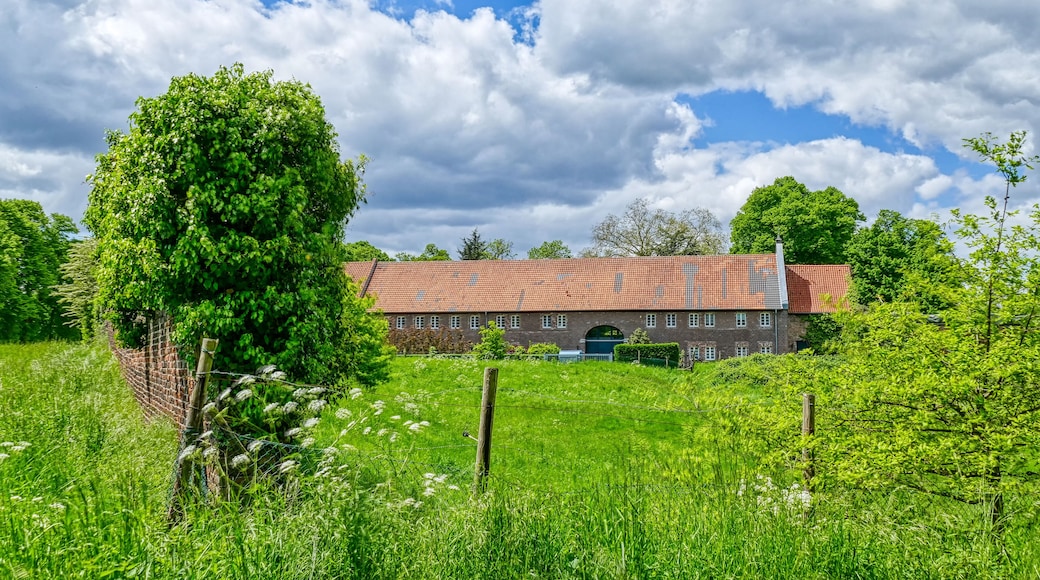 เมียร์บูช