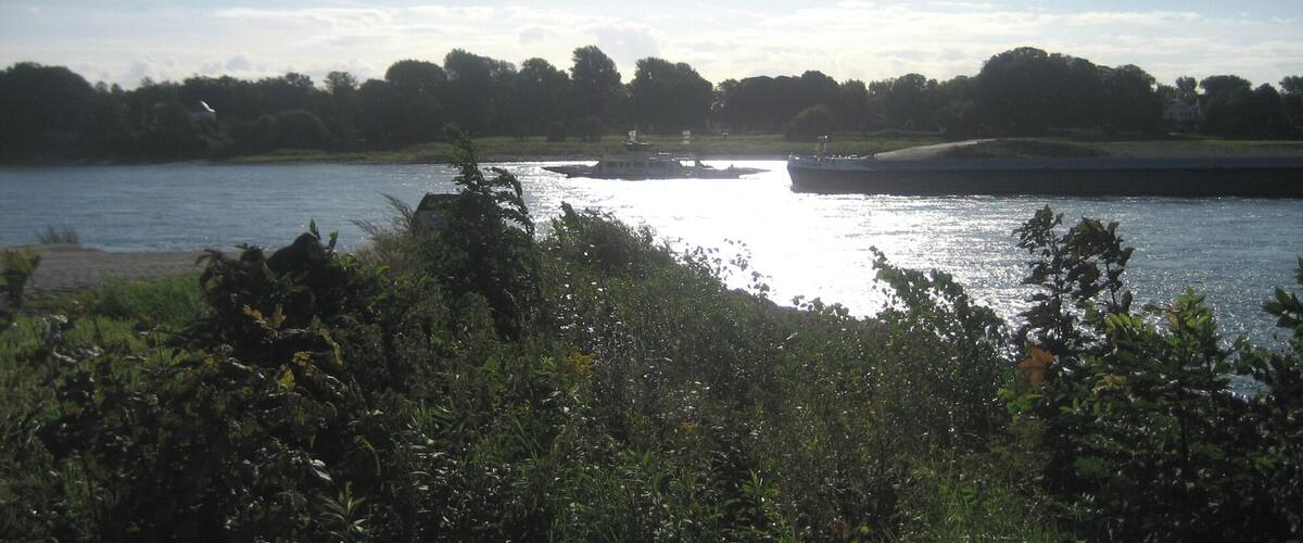 A river with a boat, surrounded by greenery and trees.