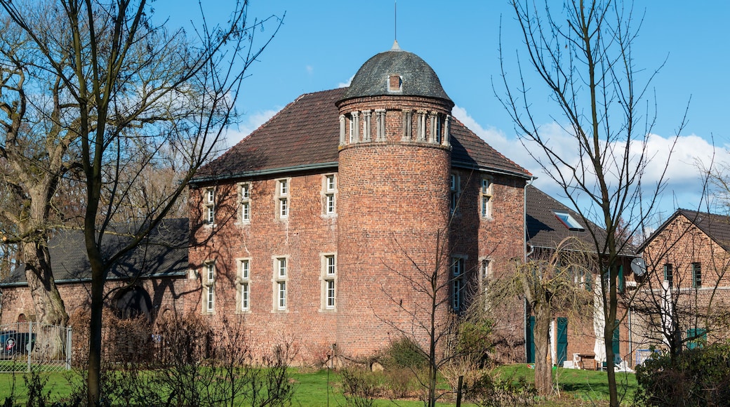 เมียร์บูช