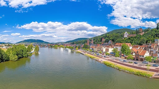 Aerial drone panoramic picture of the medieval city of Miltenberg in Germany during daytime