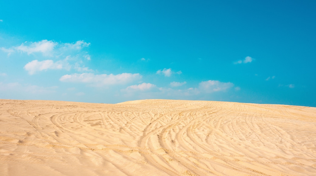 Golden dunes beach in madero city tamaulipas, sand mountain with vehicle marks and blue sky