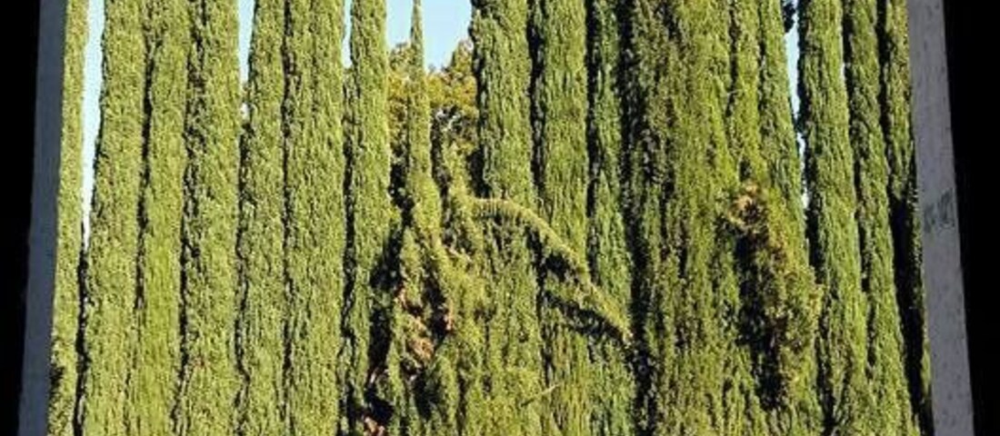 Casa Madero ...the wine home in Parras de la fuente