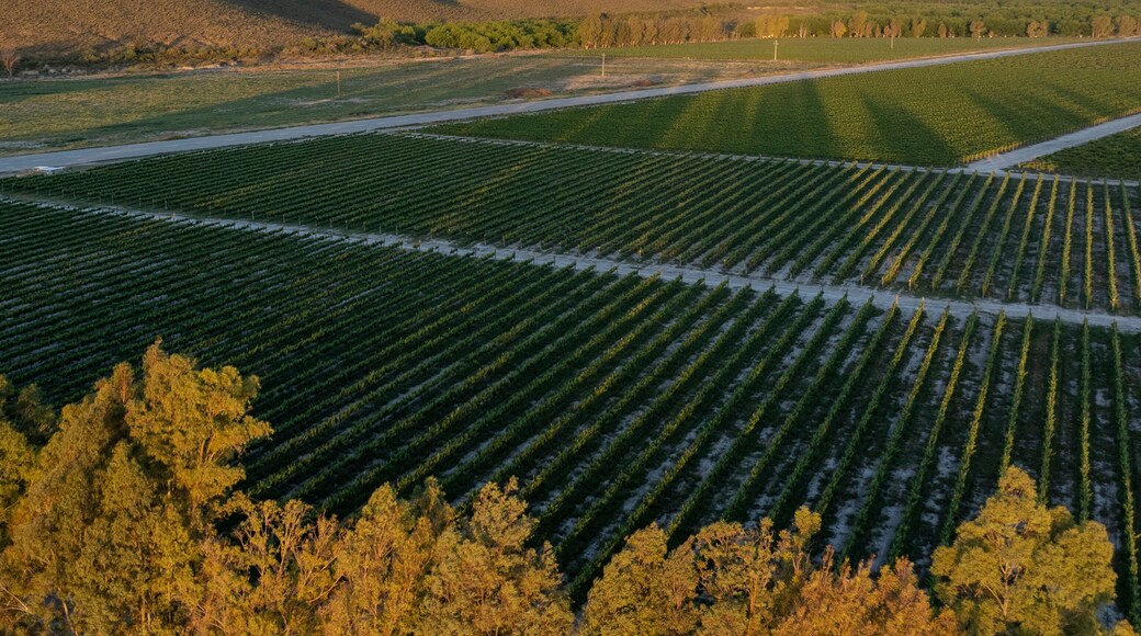 Parras de la Fuente