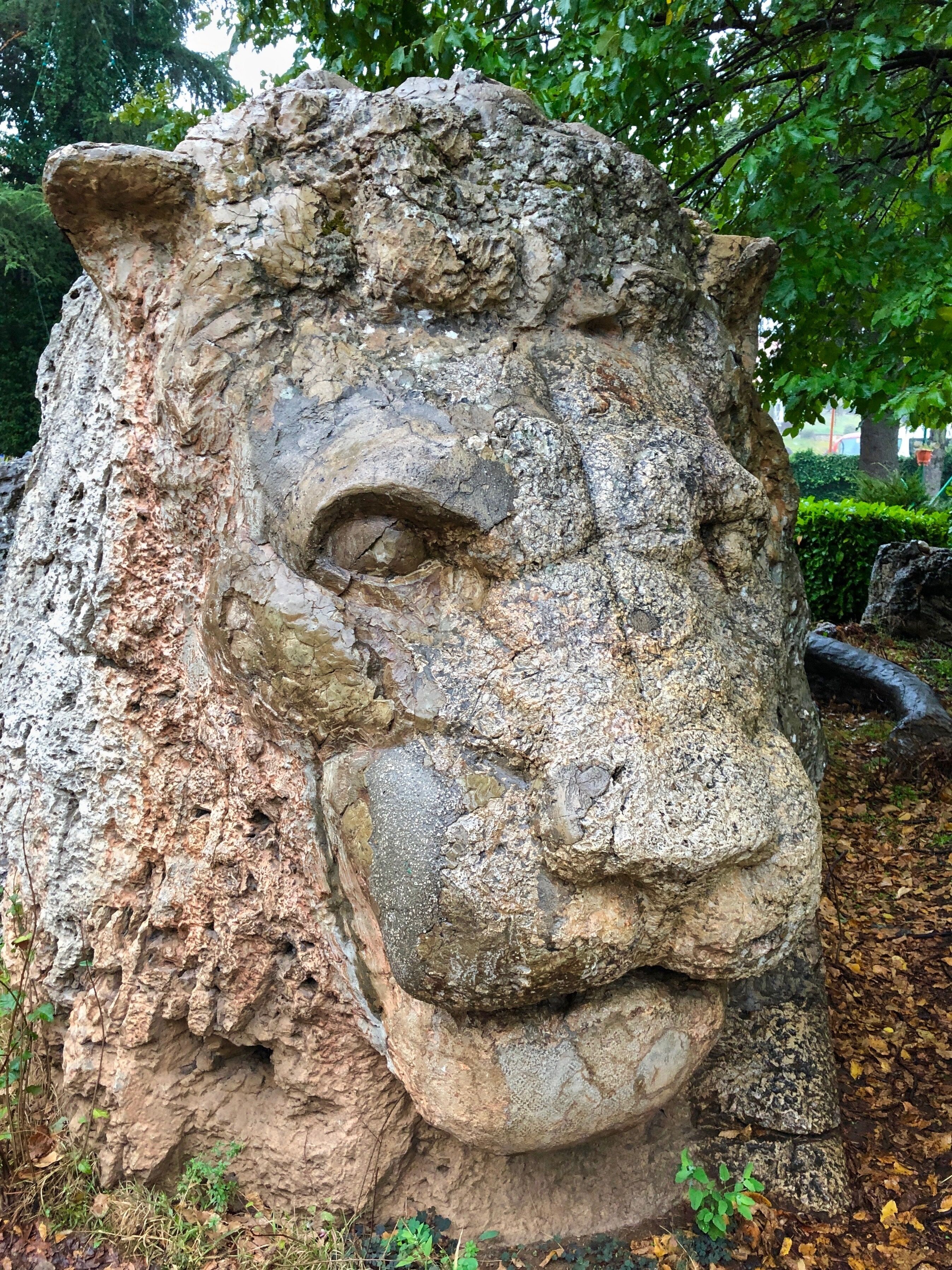 A stone sculpture of a lion's head with a hollow eye and a rough texture.