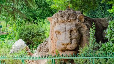 A large rock formation with a carved face, surrounded by lush greenery and a green fence.