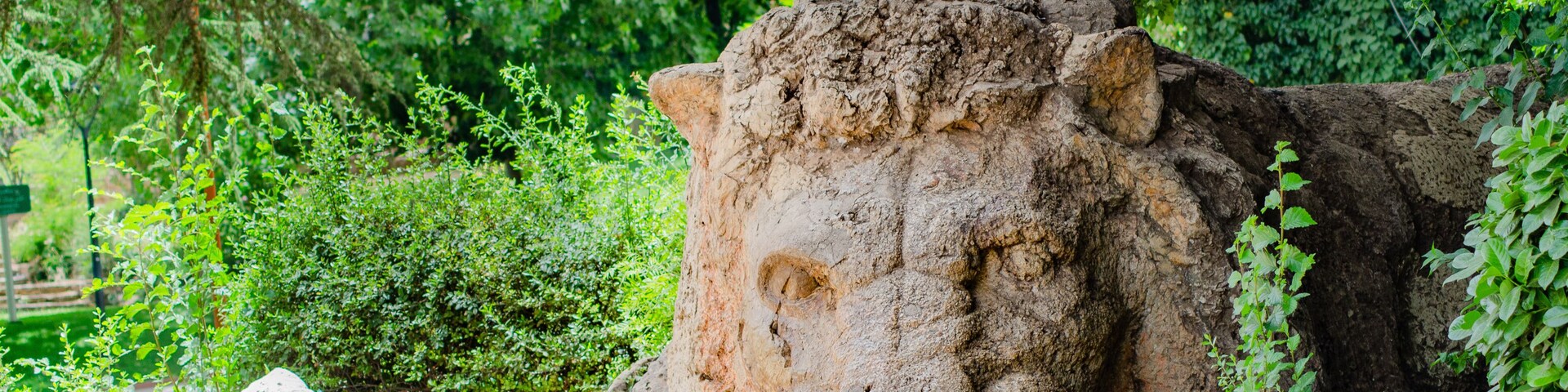 Ifrane Lion sculpture carved on the rock a popular landmark in the middle of greenery