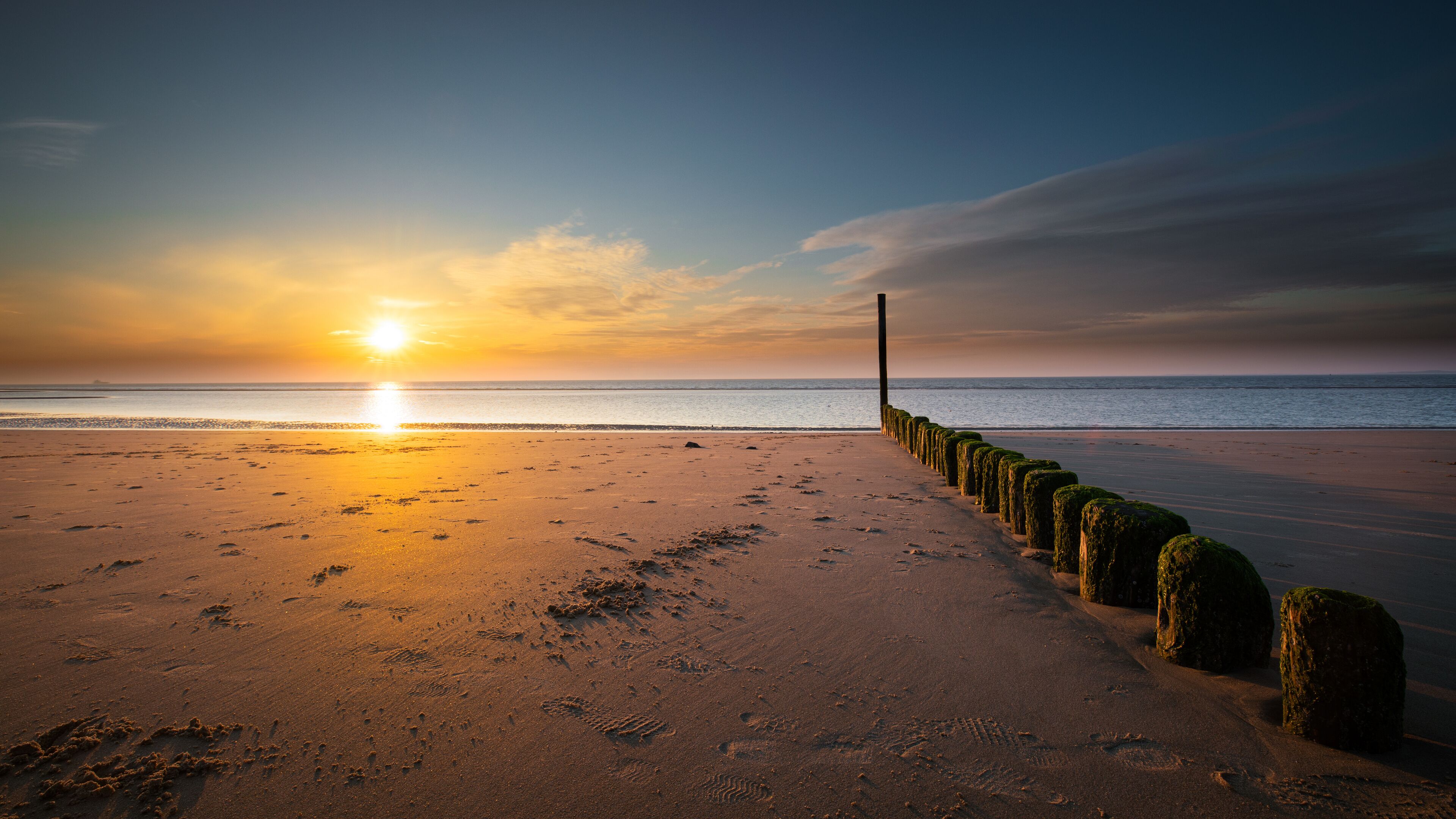 A beach with footprints leading to a row of moss-covered bollards.