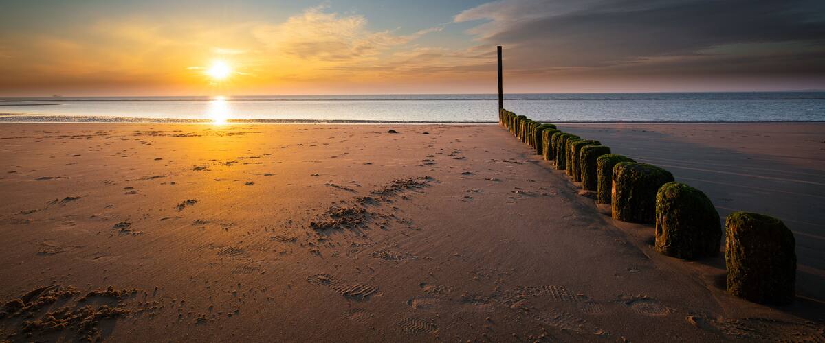 A beach with footprints leading to a row of moss-covered bollards.