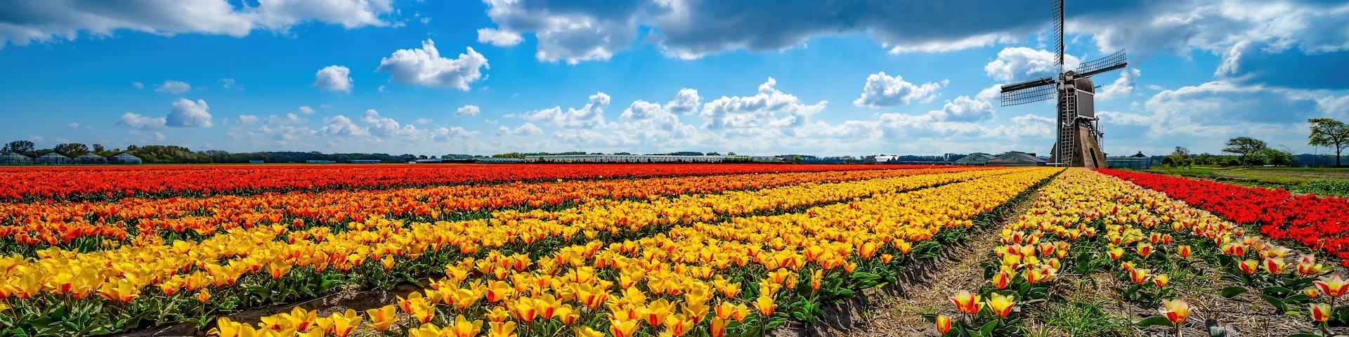 Schiphol Hotel Guide